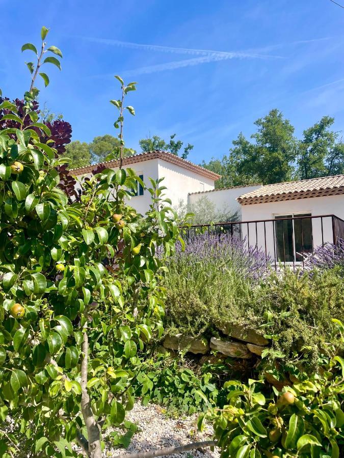 Superbe Villa Seillans La Grande Bastide Avec Piscine, Jardin, Climatisation Et Salle De Sport Экстерьер фото