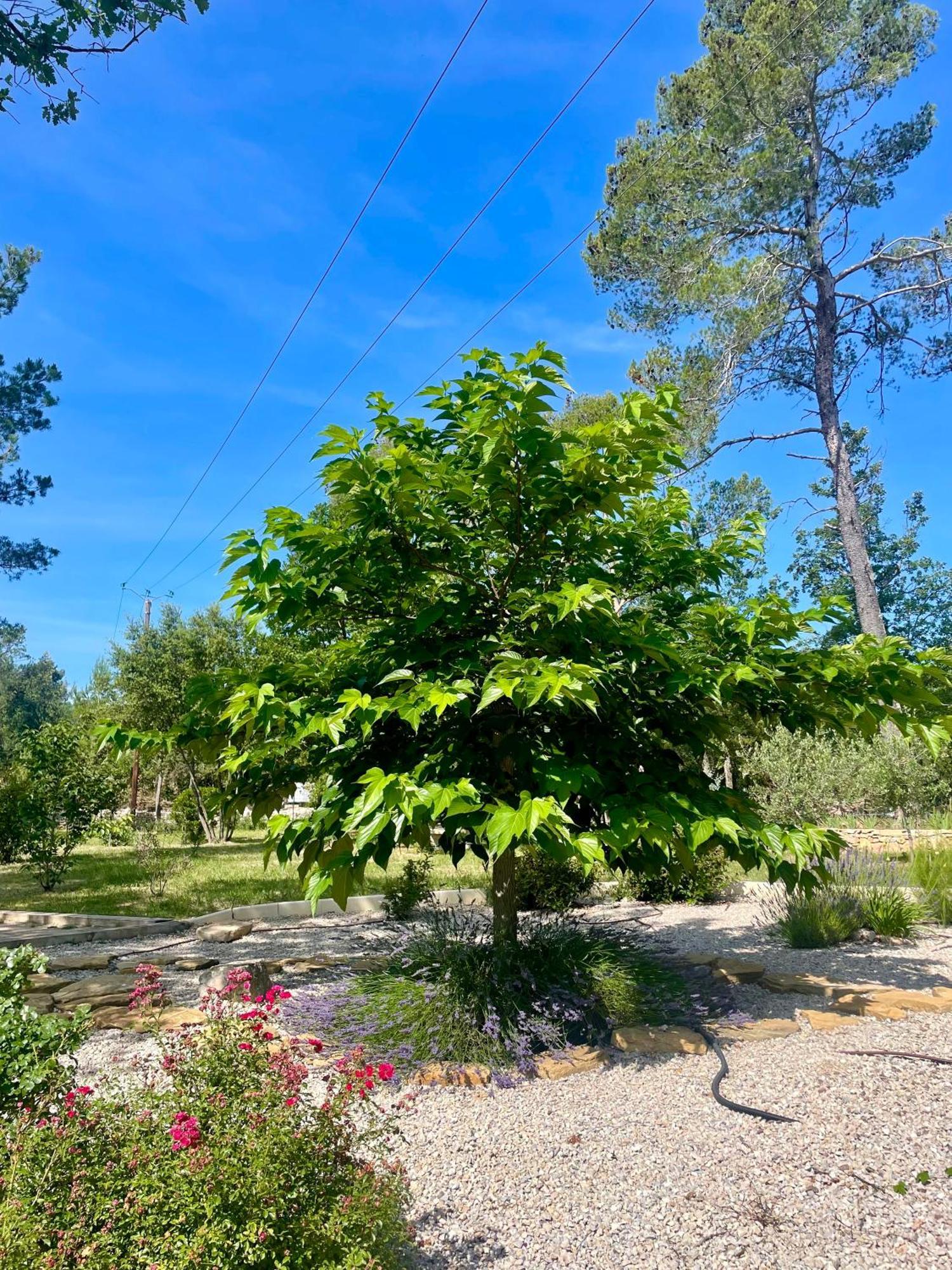 Superbe Villa Seillans La Grande Bastide Avec Piscine, Jardin, Climatisation Et Salle De Sport Экстерьер фото
