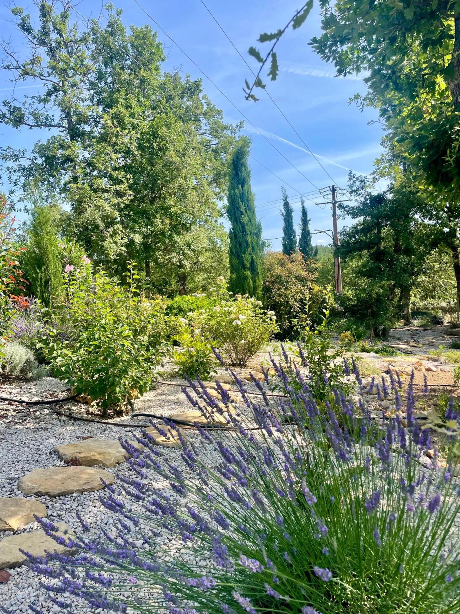 Superbe Villa Seillans La Grande Bastide Avec Piscine, Jardin, Climatisation Et Salle De Sport Экстерьер фото