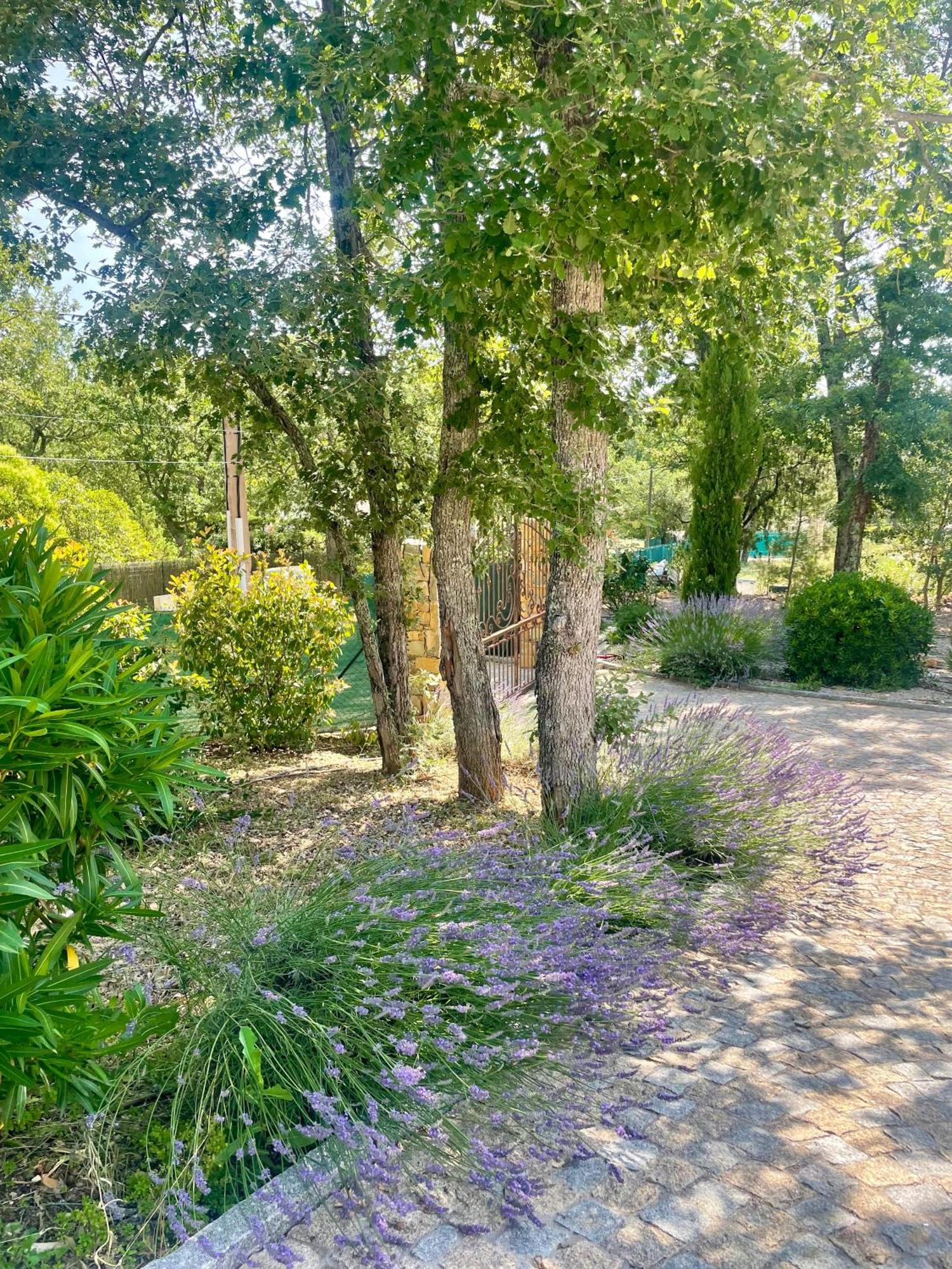 Superbe Villa Seillans La Grande Bastide Avec Piscine, Jardin, Climatisation Et Salle De Sport Экстерьер фото